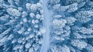 En vinterdröm i norr – upplev Kiruna med Jukkasjärvi Vildmarksturer